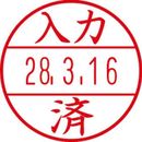 データーネームEX　15号　印面(入力済)　XGL-15M-J27