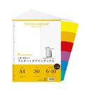 ラミネートタブインデックス　A4縦　30穴6山10組　LT3006F