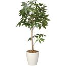 人工植物　パキラトピアリー　高さ1200　光触媒