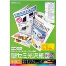 カラーコピー用紙(両面)セミ光沢B4中厚　100枚　LBP-FH2800