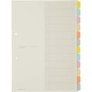 カラー仕切カード　お徳用　A4縦　2穴　12山30組　シキ-150