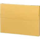ケースファイル　高級色板紙　A4縦　黄　3冊　フ-950NY