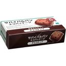 サバイバルパン　エコパッケージ　チョコチップ