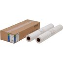 普通紙ロール　薄手　594mm×50m　2本　EPPP64A1