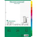 ラミネートタブインデックスB5　26穴12山1組　LT5012