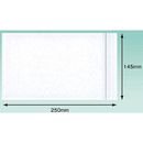 デリバリーパック完全密封145×250　100枚入